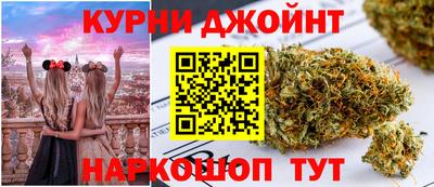 индика Брянск