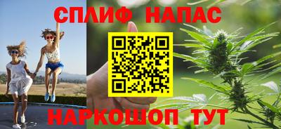 гашик Братск
