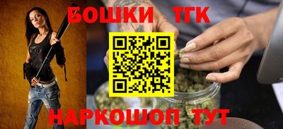 индика Брянск