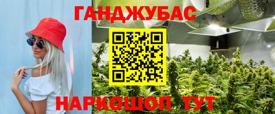 индика Брянск