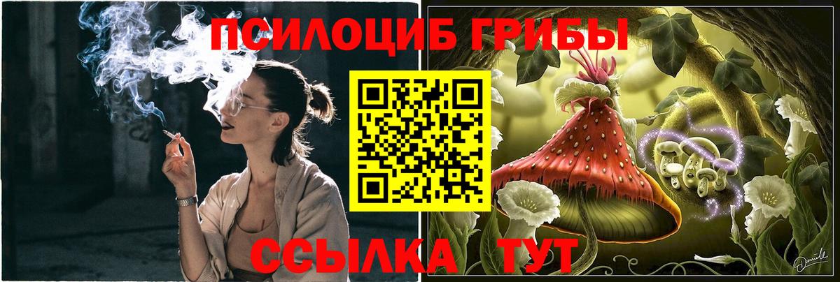Воскресенск  Галлюциногенные грибы Psilocybine cubensis  Вход с VPN 